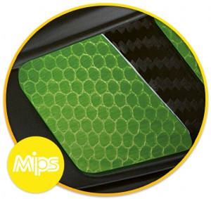 MIPS-echantillon