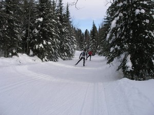 Ski-de-Patin