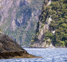 19-Parc-National_Fiordland_croisiere_bateau_fjord_NZ_Terra-Tributa